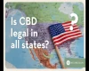 is_cbd_legal_in_all_states-(1).webp